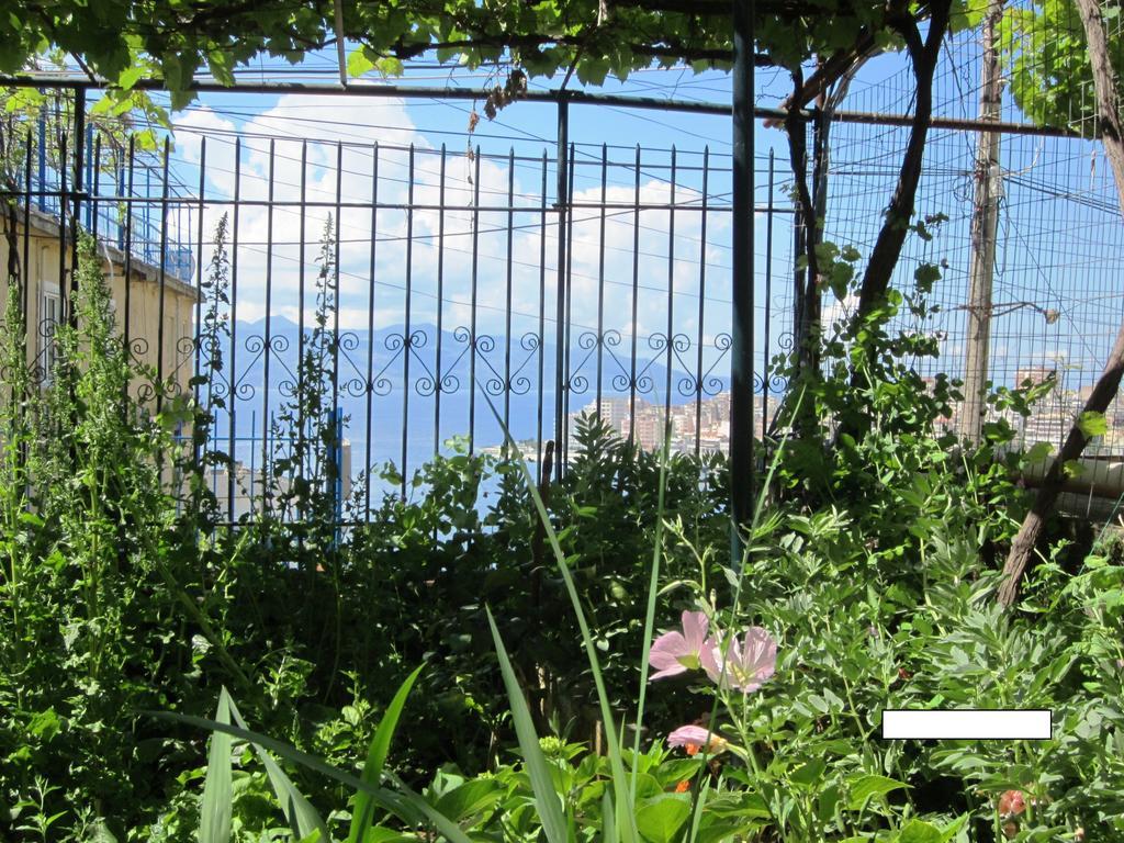 Guest House And Tavern Leo Sarandë Exteriér fotografie